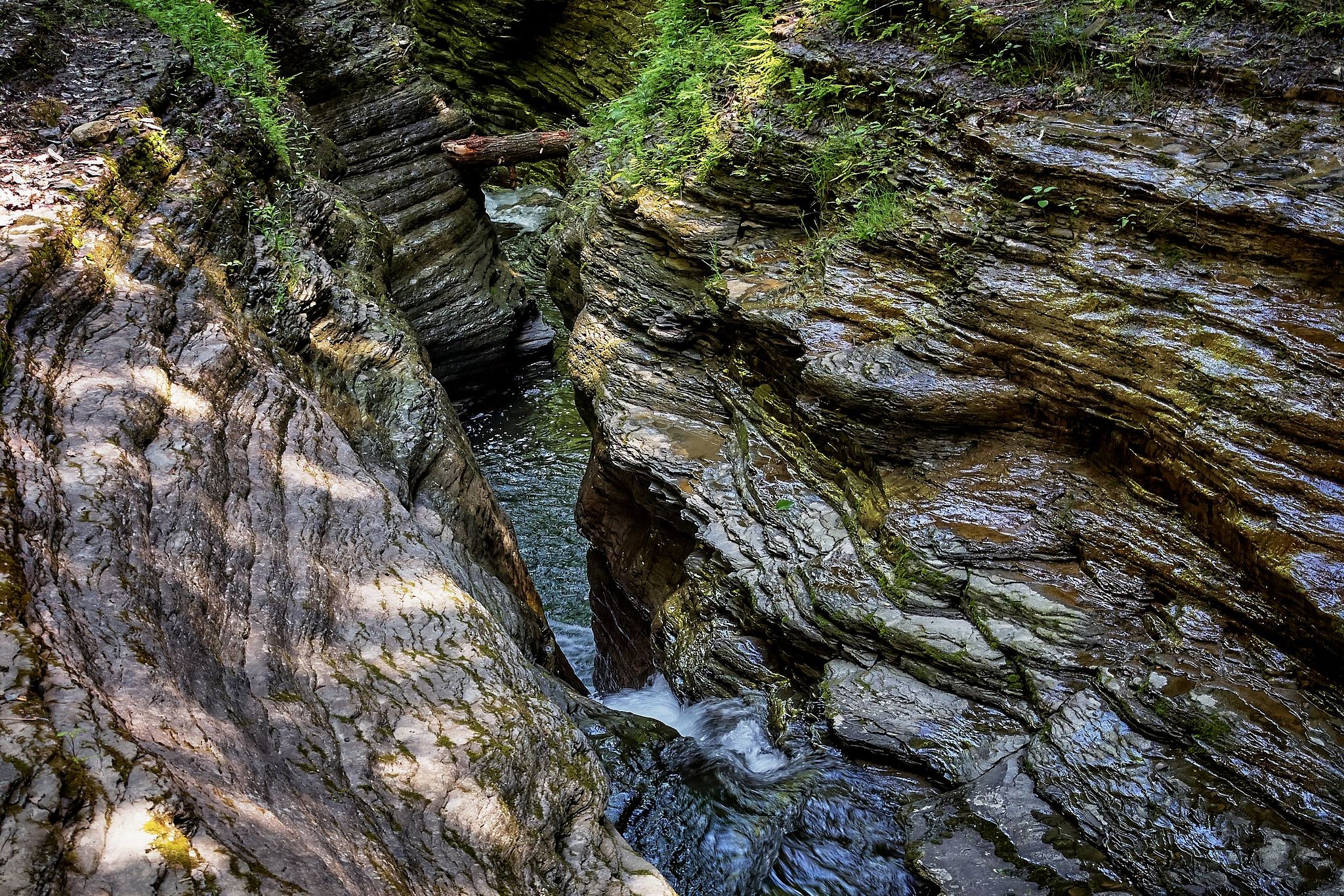 Watkins Glen - New York
