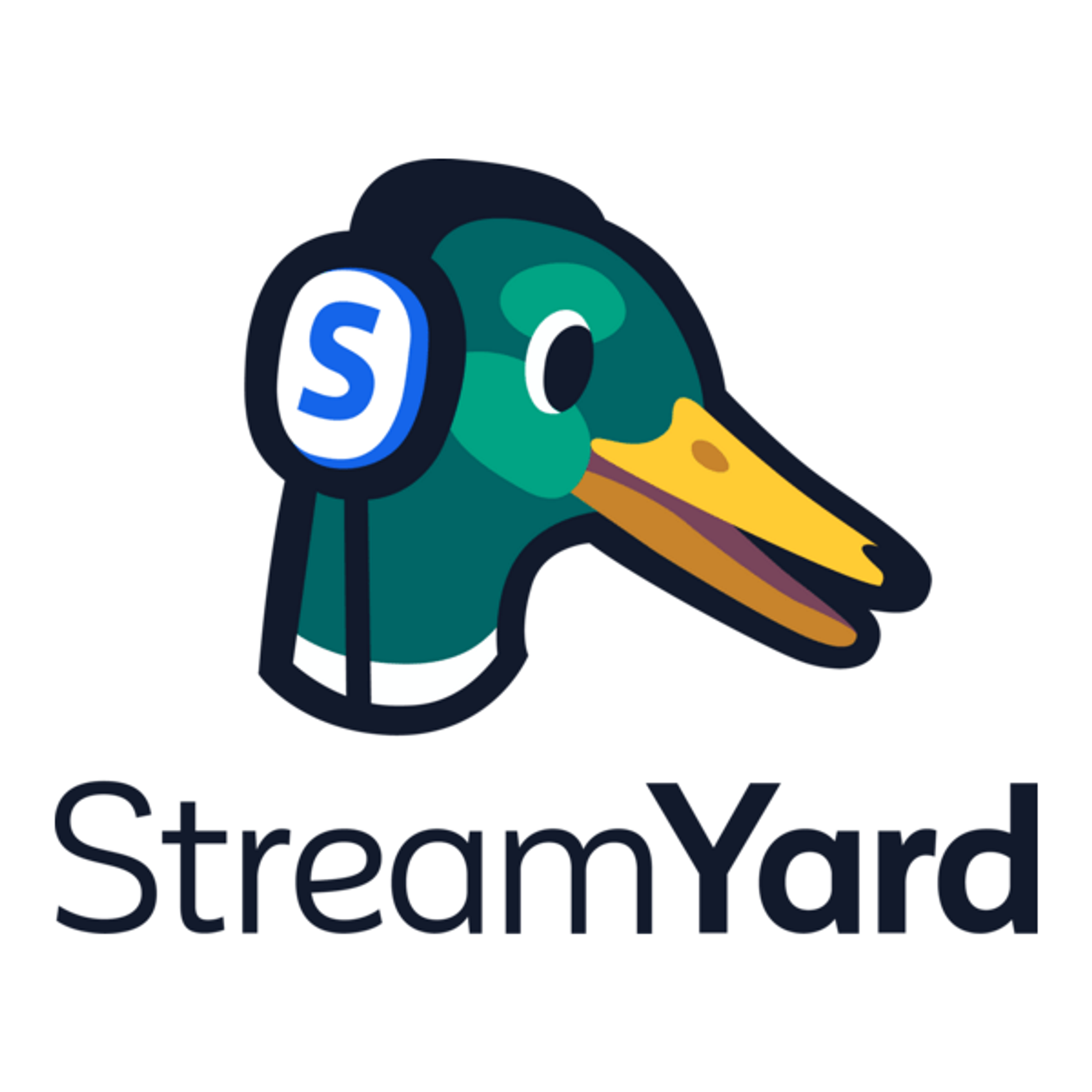 Stream Your Business To Success