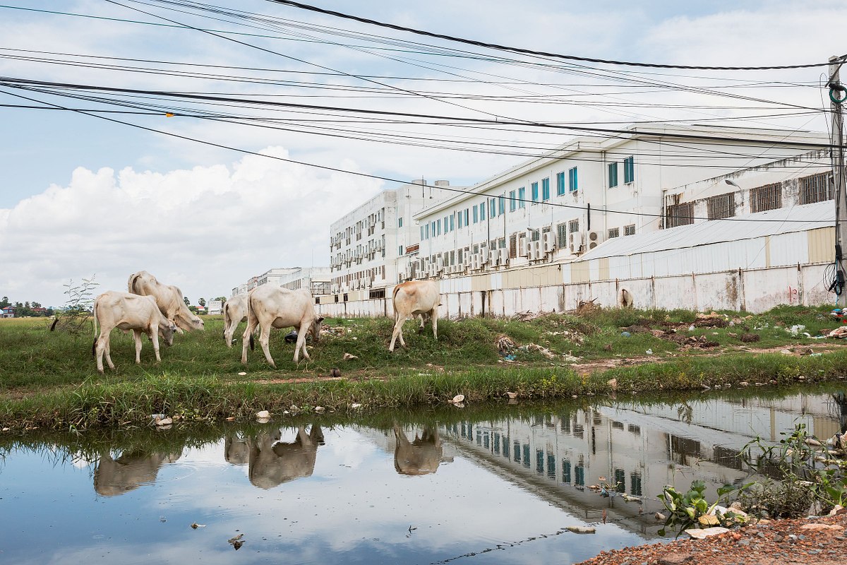 Die textile Revolution von oben