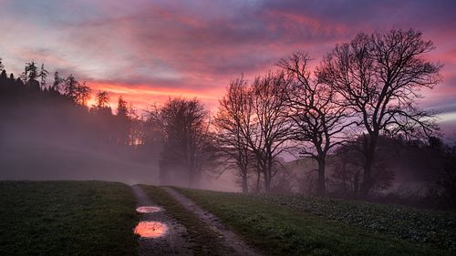 Auf der Chüeweid von Burgdorf