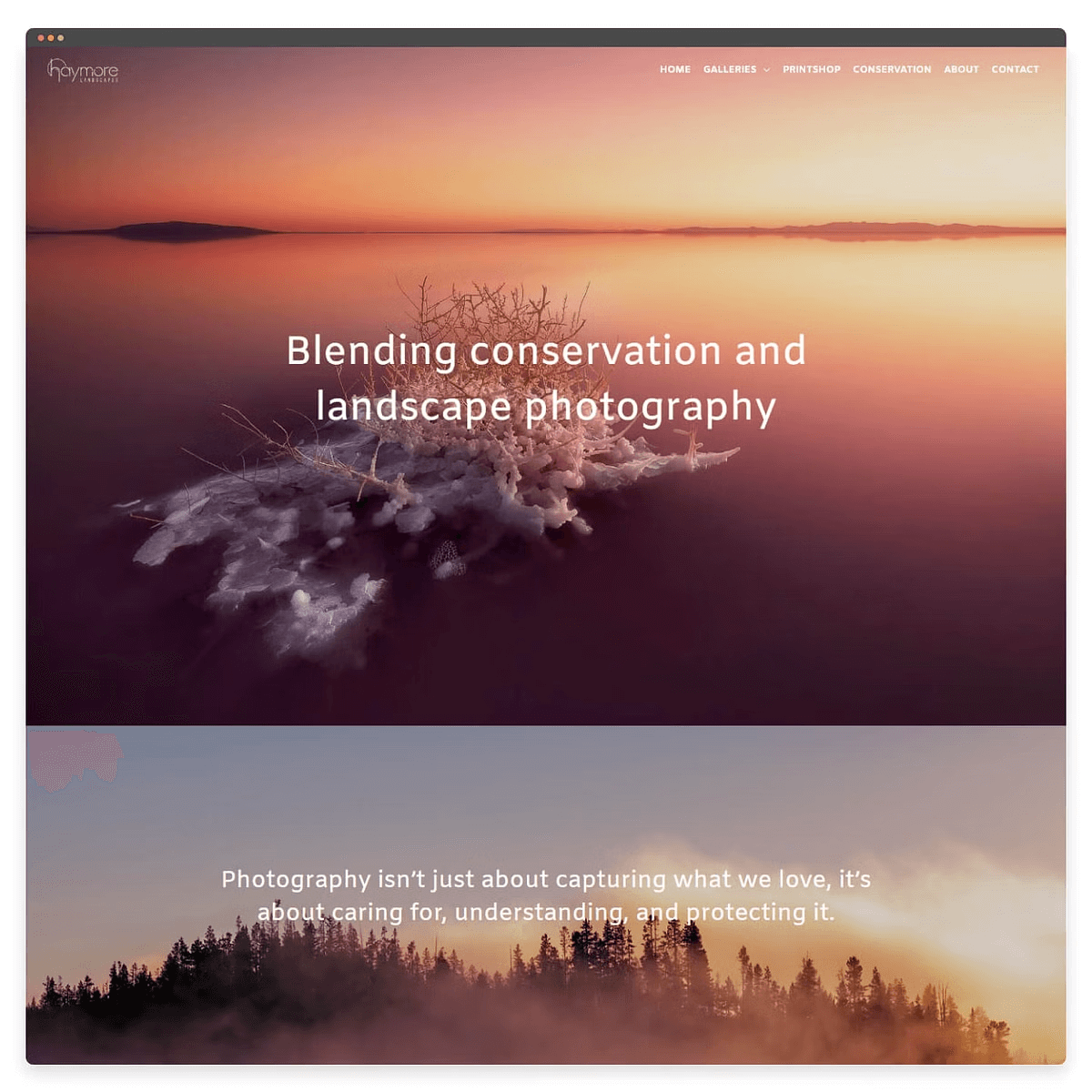 Image of John Haymore's about us page
