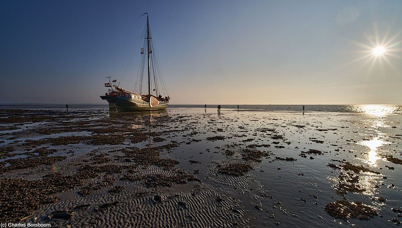 Midweek Oostelijke Waddenzee 5 dagen (4 - 8 mei 2026)
