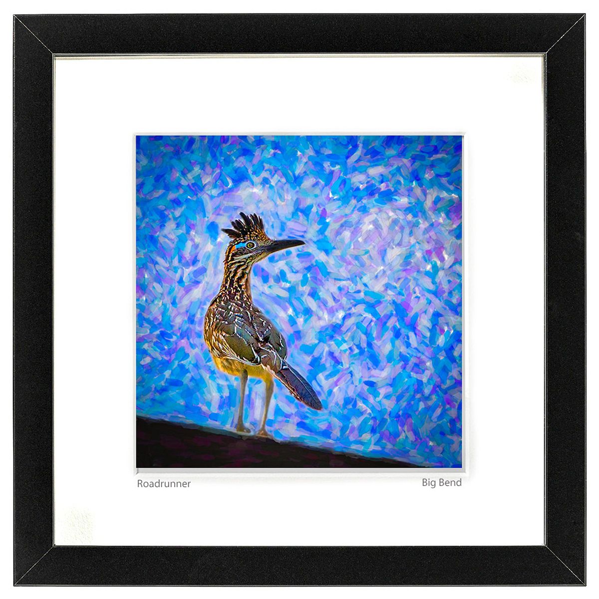 Roadrunner art of the Big Bend region of Texas