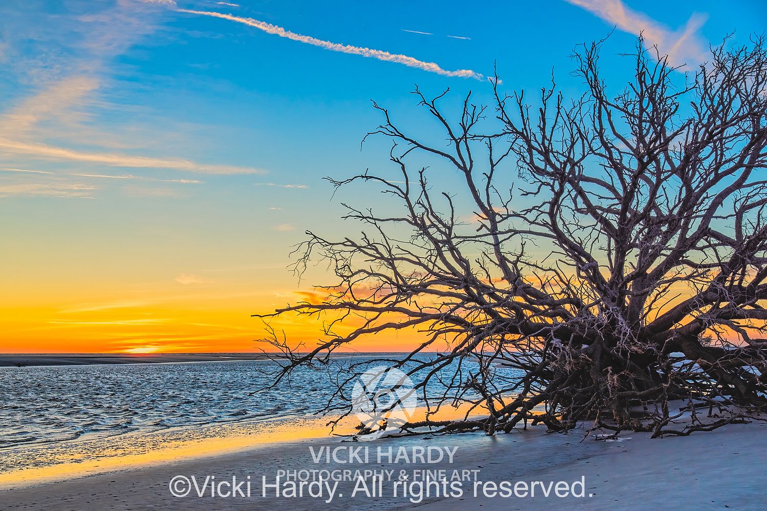 Vicki Hardy Photography Landscapes