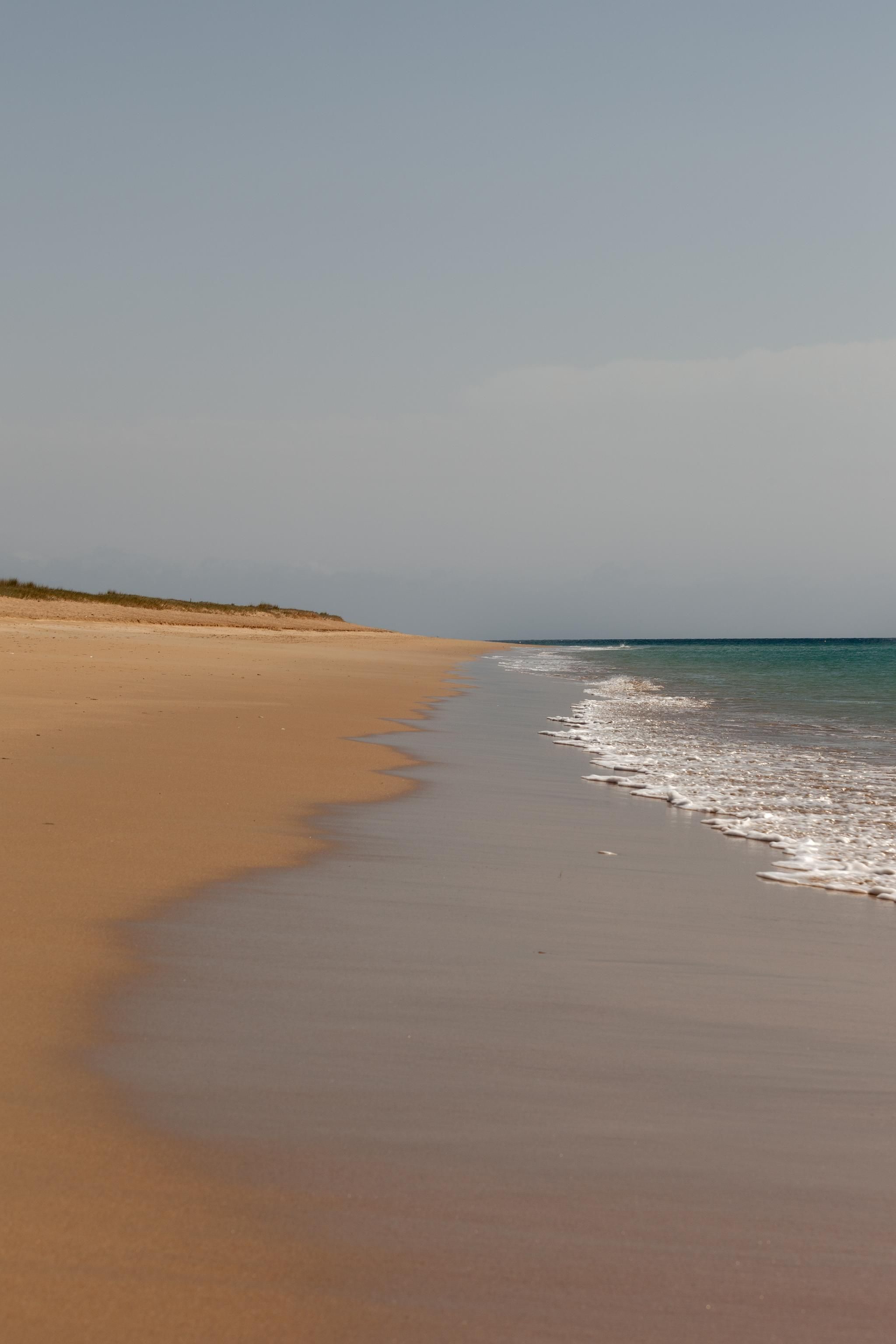 Ocean