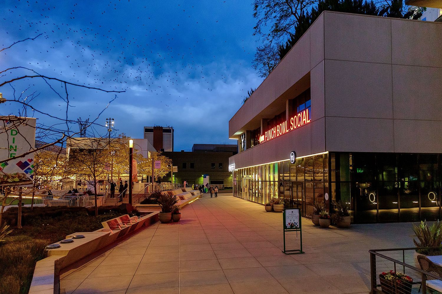 Robin Fadtke Photography