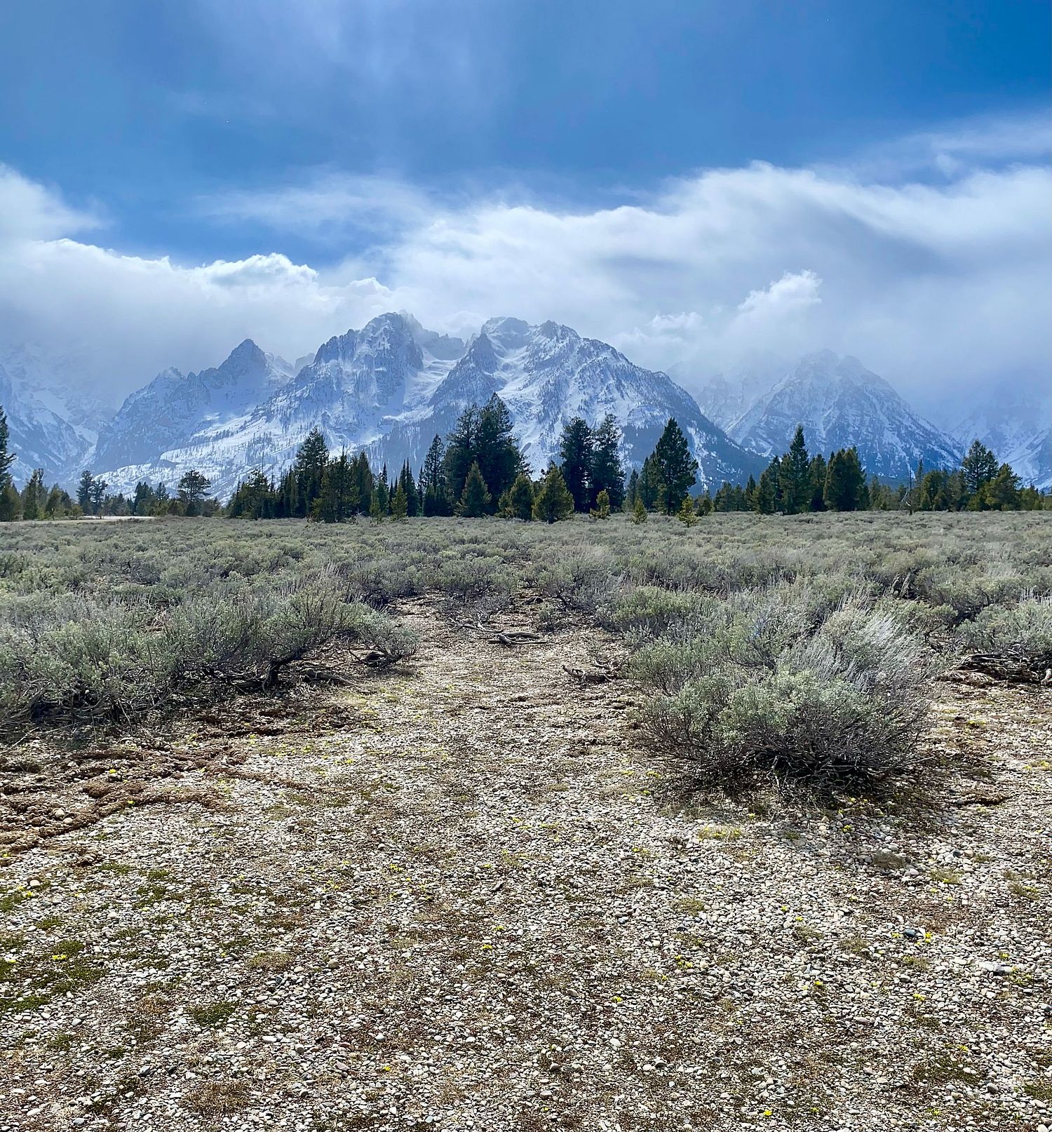 Beyond Measure Gallery