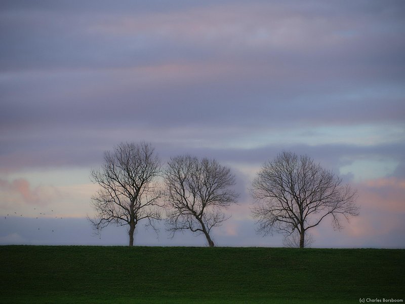 The Next Step (20 - 22 november 2026)