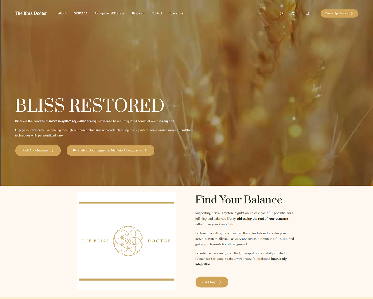 Главная страница портфолио Bliss Doctor