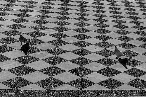 Checkers Board ... Seville