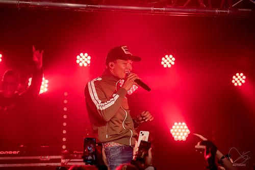 Palmekystfestivalen 2022