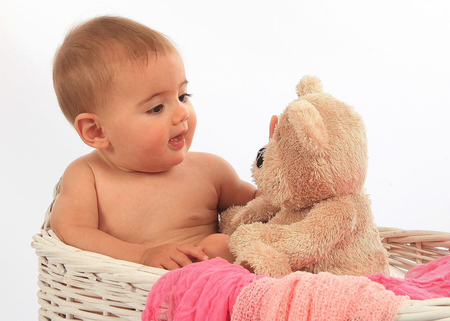 Nigel Coles Photography