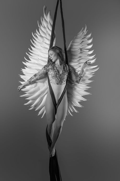 Certified by Xpert Pole- Aerial Silks Trainer