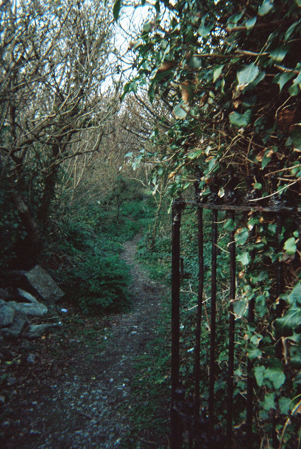 overgrown path with gate, inishmore, aran islands, ireland