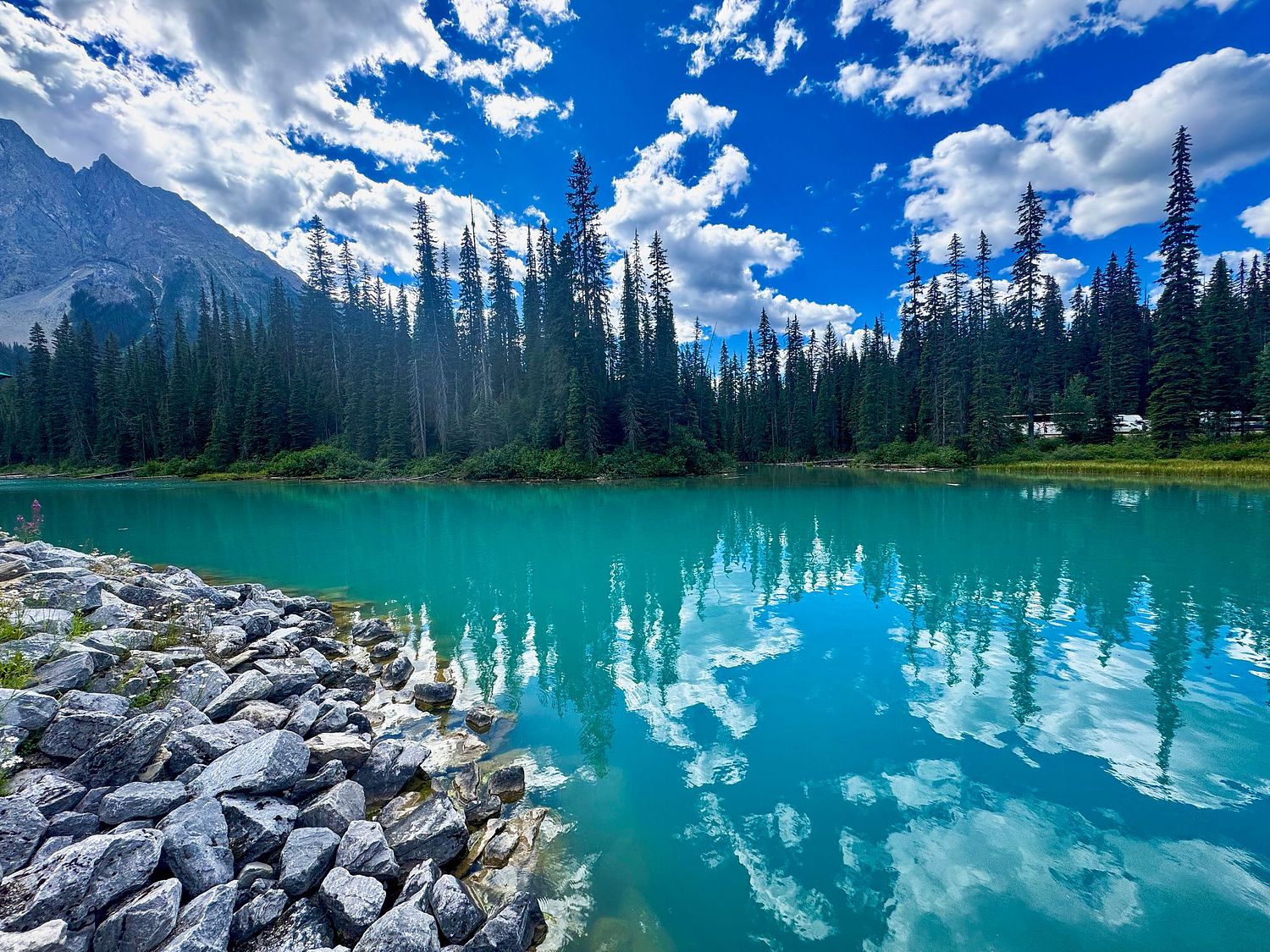 Snehansu Roy Photography