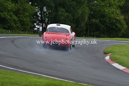 Austin Healey 3000M MKI driven by Richard Mason