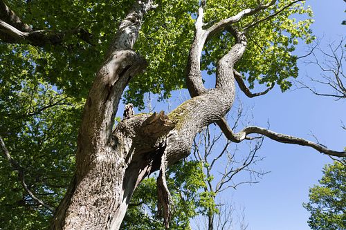 Im Nationalpark Jomfruland