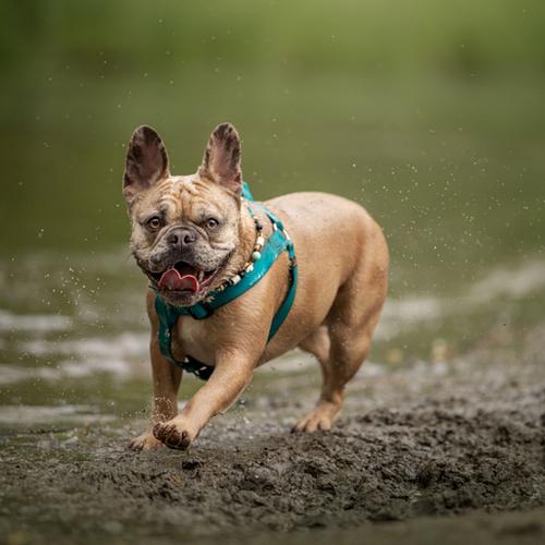 Tijdens de fotoshoot