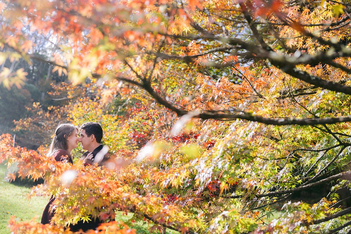 Pre-Wedding Portraits at Nooroo Garden