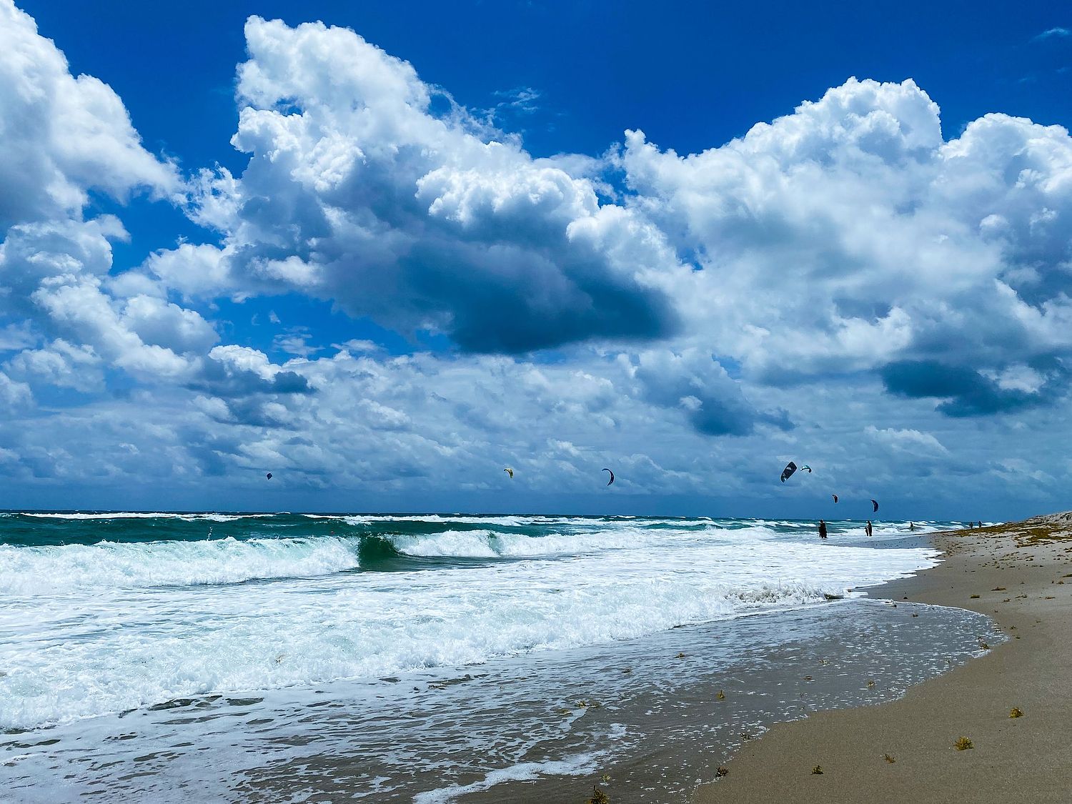 Snehansu Roy Photography