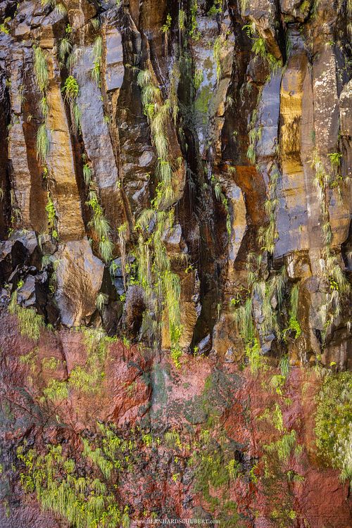 Detail am Risco Wasserfall