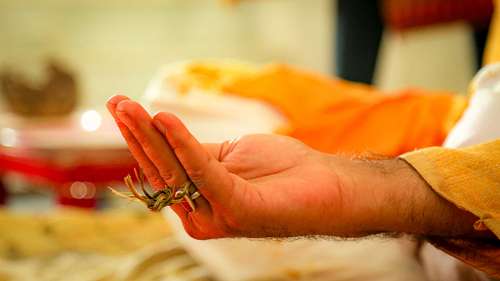 FOTUWALLE by DHP Labs