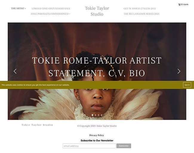 CV website Voorbeelden