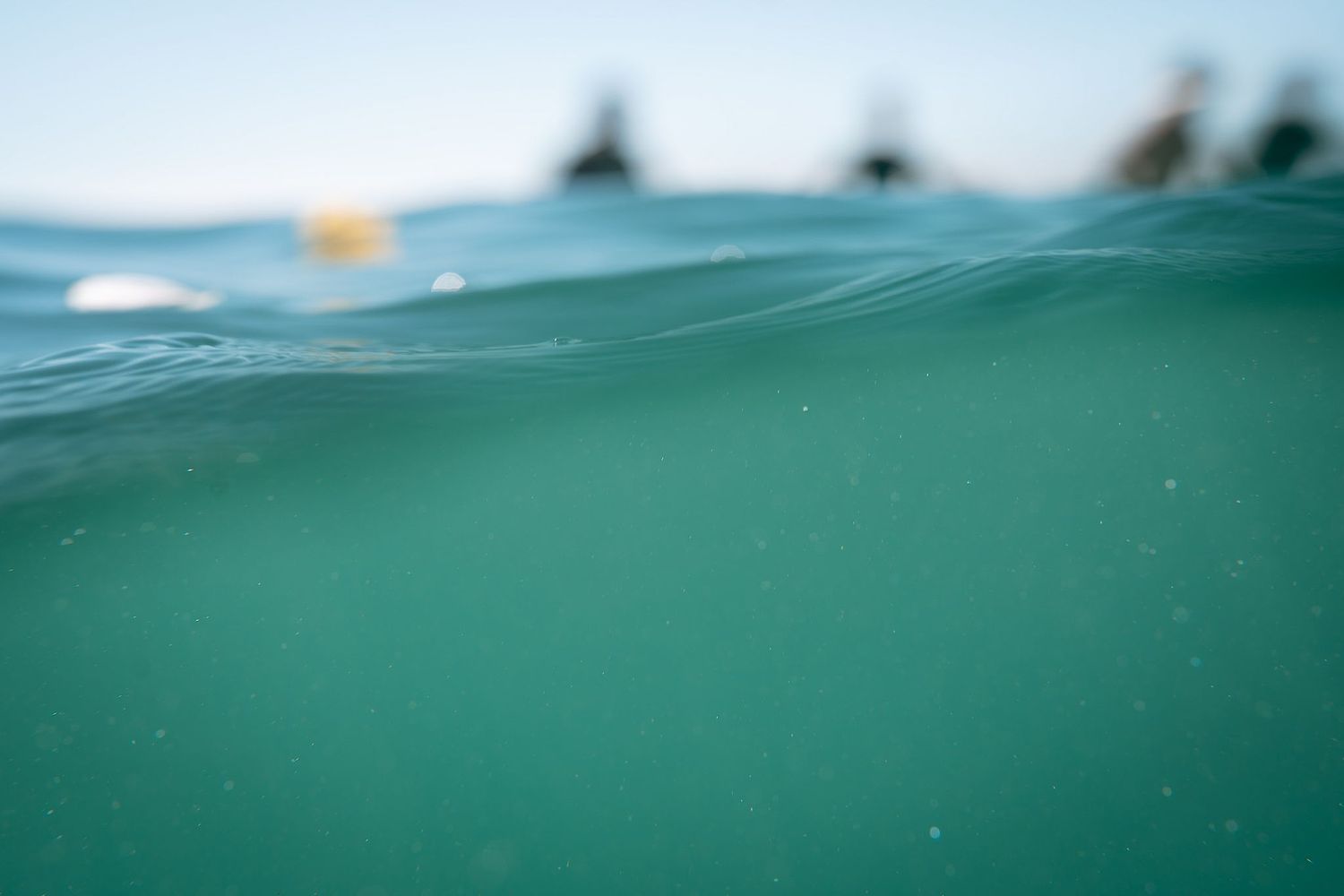 Katie Abbott Photography