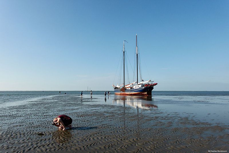 Midweek Oostelijke Waddenzee 5 dagen (4 - 8 mei 2026)