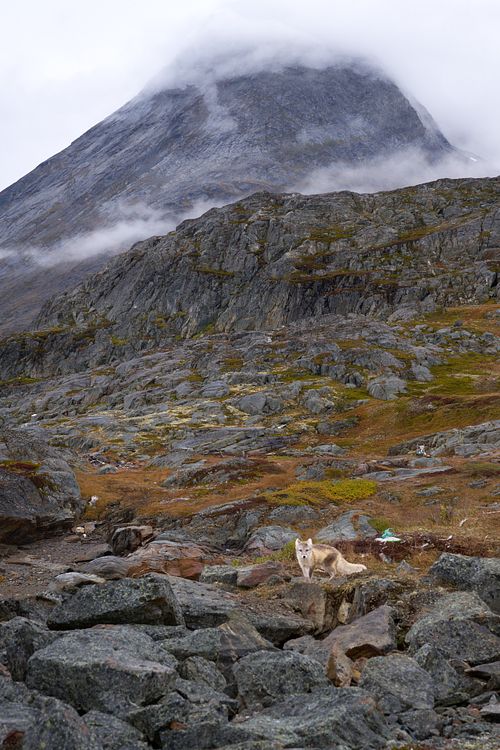 Nordic Vision fotoreis  2024 Groenland