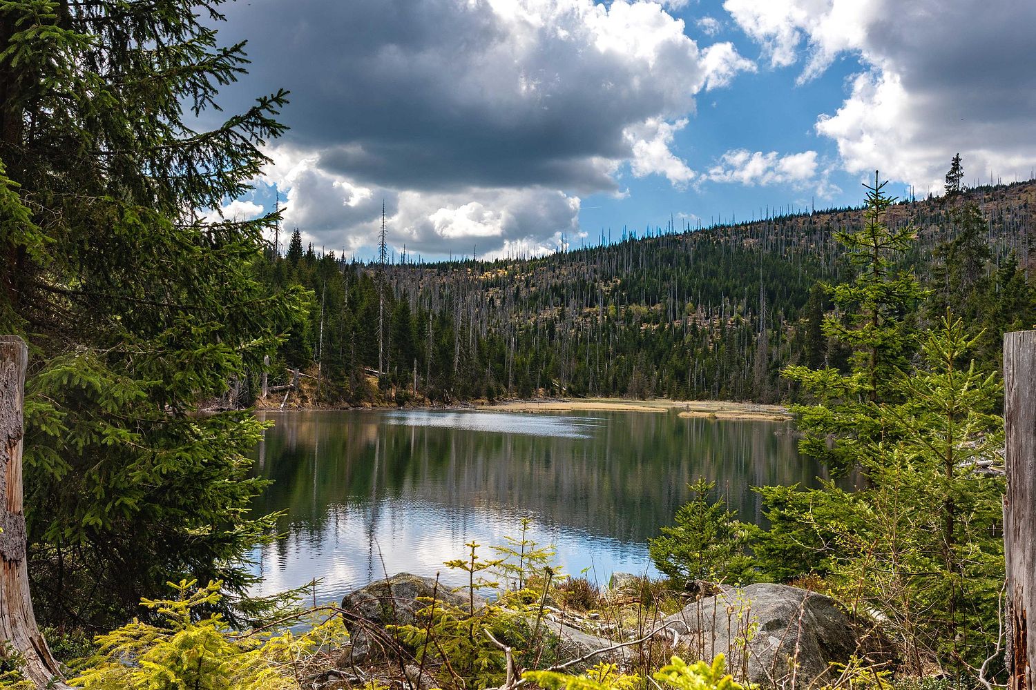 Le lac Laka Sumava