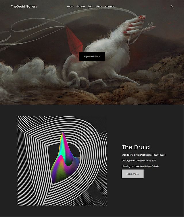 The Druid Gallery Portfolio Website Examples