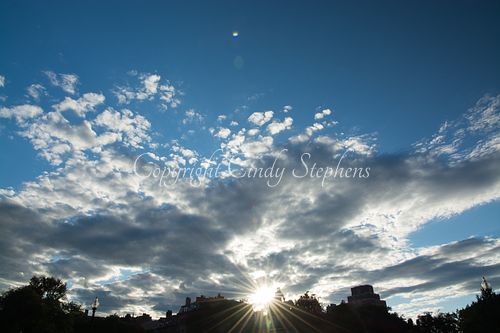 Shadows of trees and sculpture in an urban setting at sunset