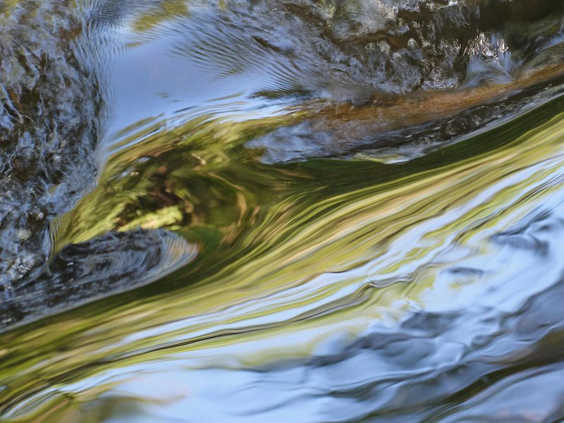 Abstracte natuurfotografie (4 juli 2026)