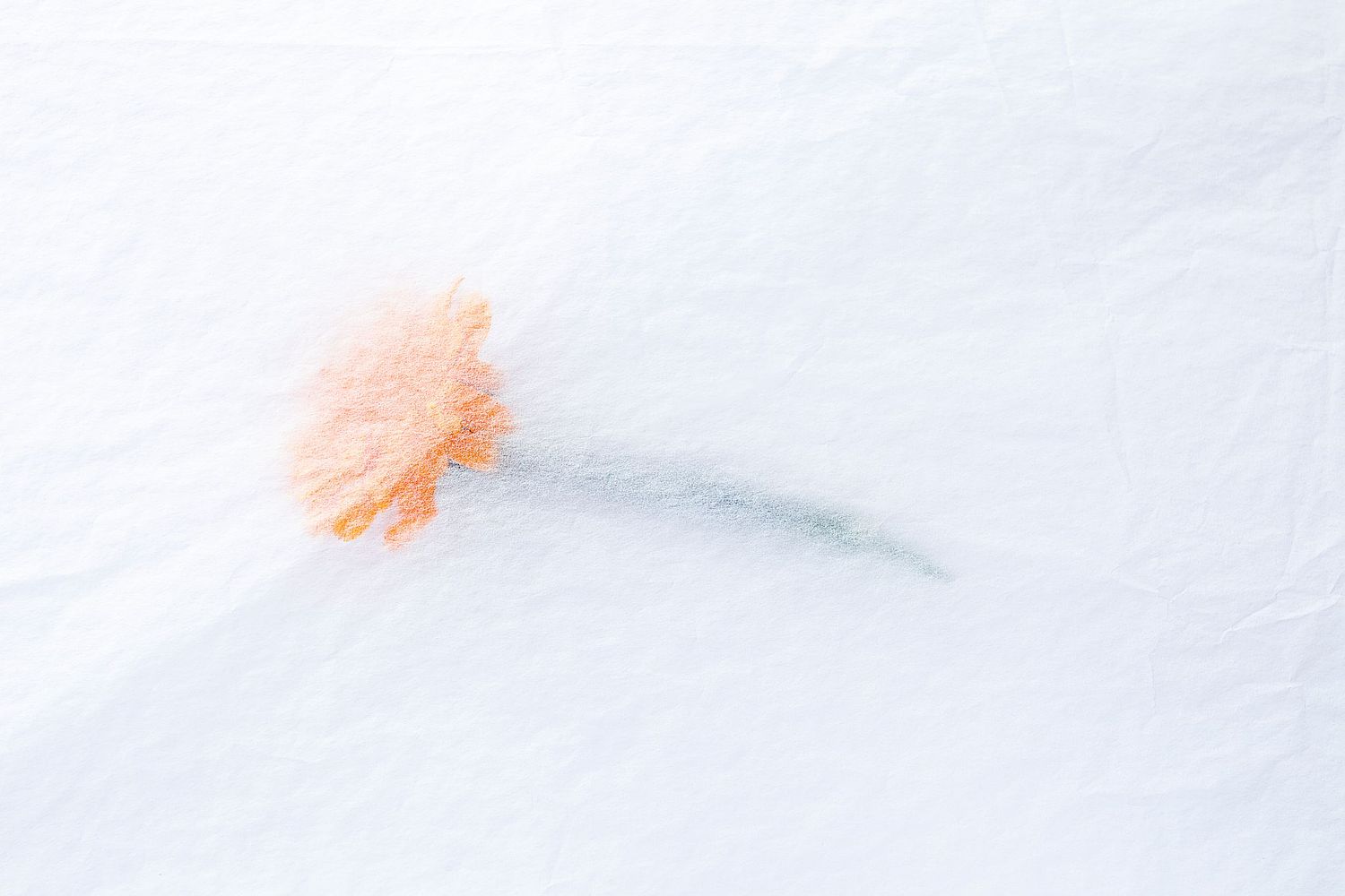 José Javier González