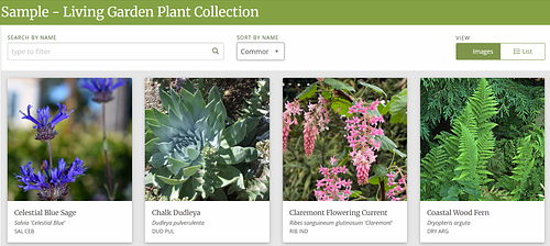 Plant Collection