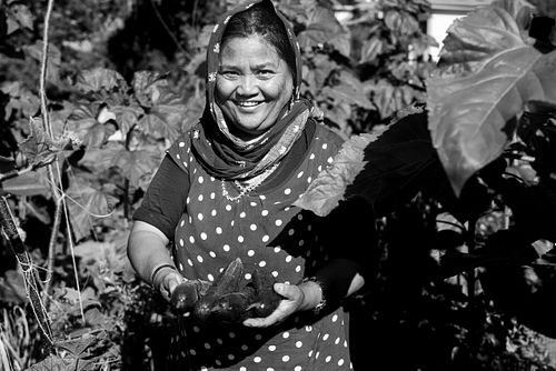 Im HEKS- Garten Burgdorf