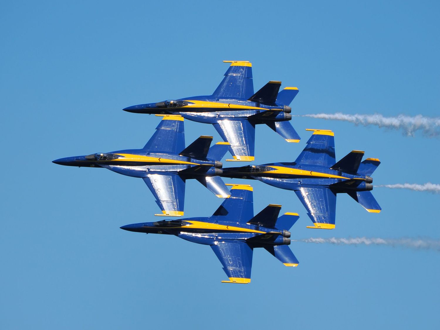 Jason Lynch Photography