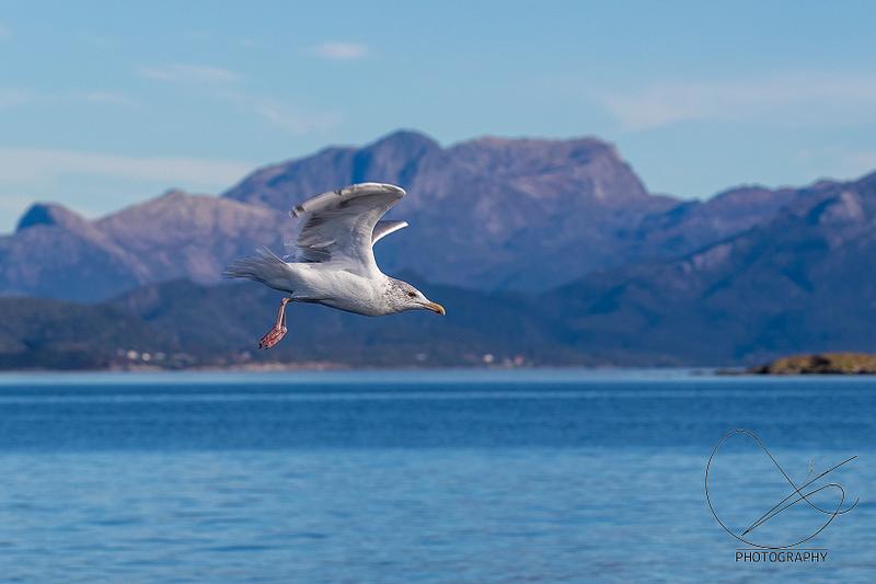 Studioet er stengt onsdag 6. november