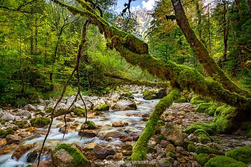Pristine river