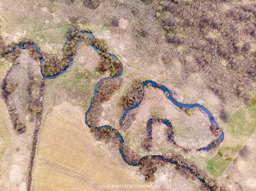 Meandering stream on a pasture