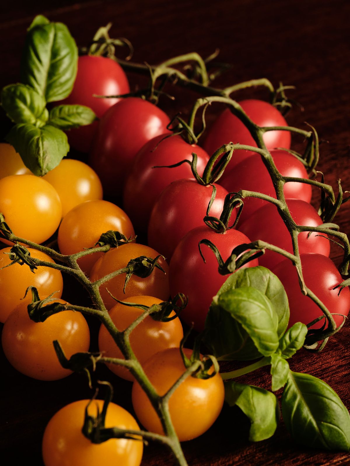 Yellow and red cocktail tomatoes on the vine in dark and moody lighting