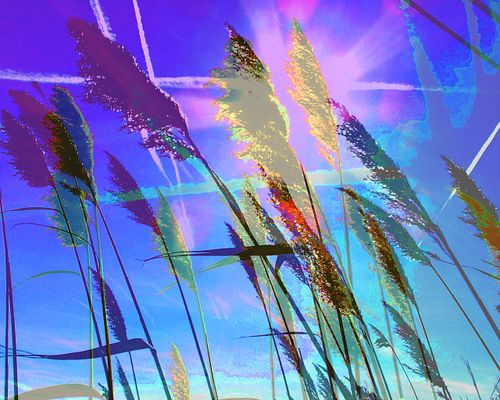 multi color marsh grass semi-abstract