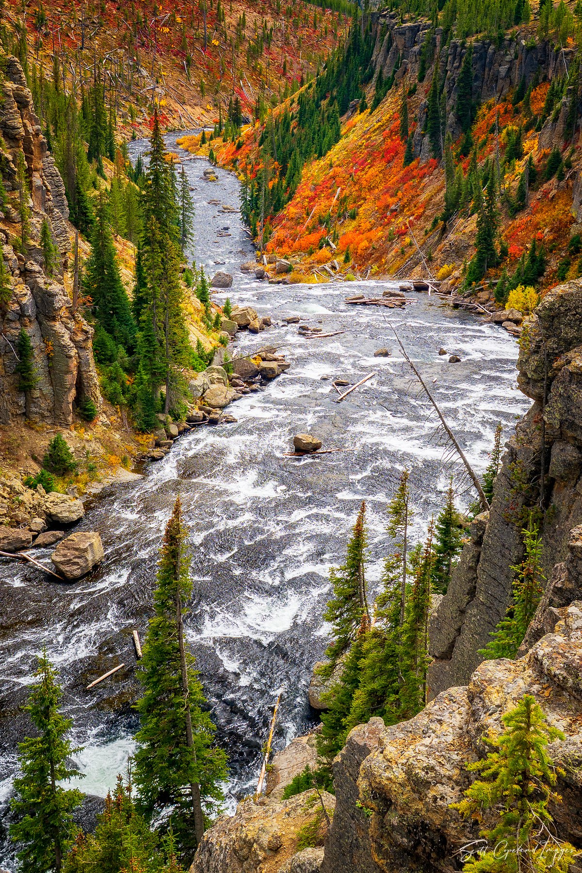 Lewis River Rapids