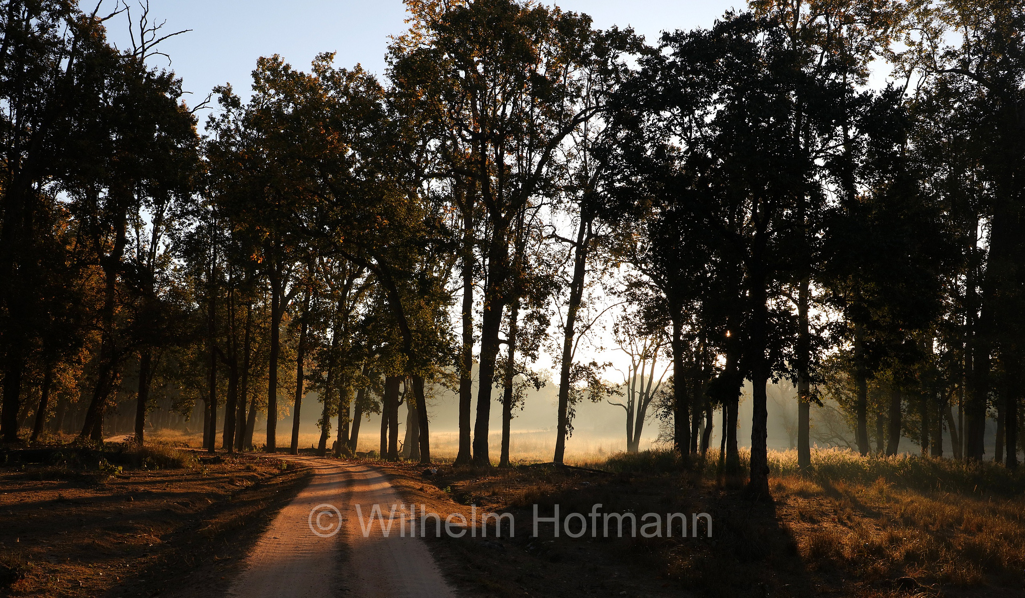 Kanha Tiger Reserve, Kanha–Kisli National Park, Kanha National Park, Kanha-Nationalpark, parco nazionale di Kanha, Madhya Pradesh, India, Indien