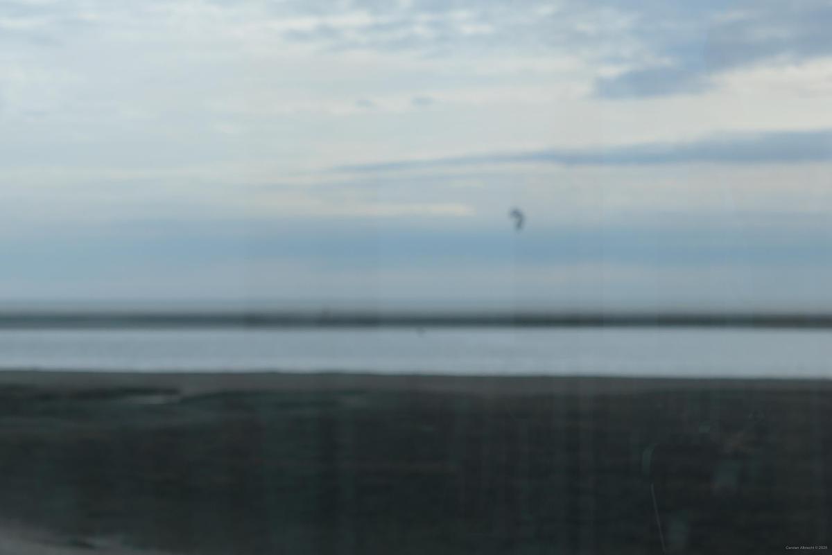 evidence, surface interference, 2026