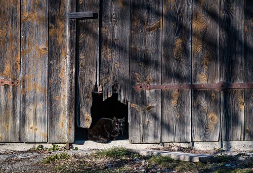 Affoltern im Emmental
