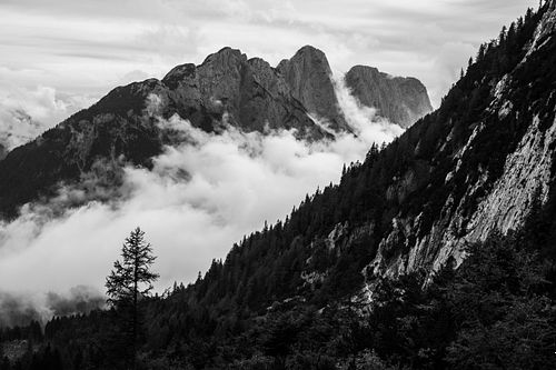 Alpine Cloud