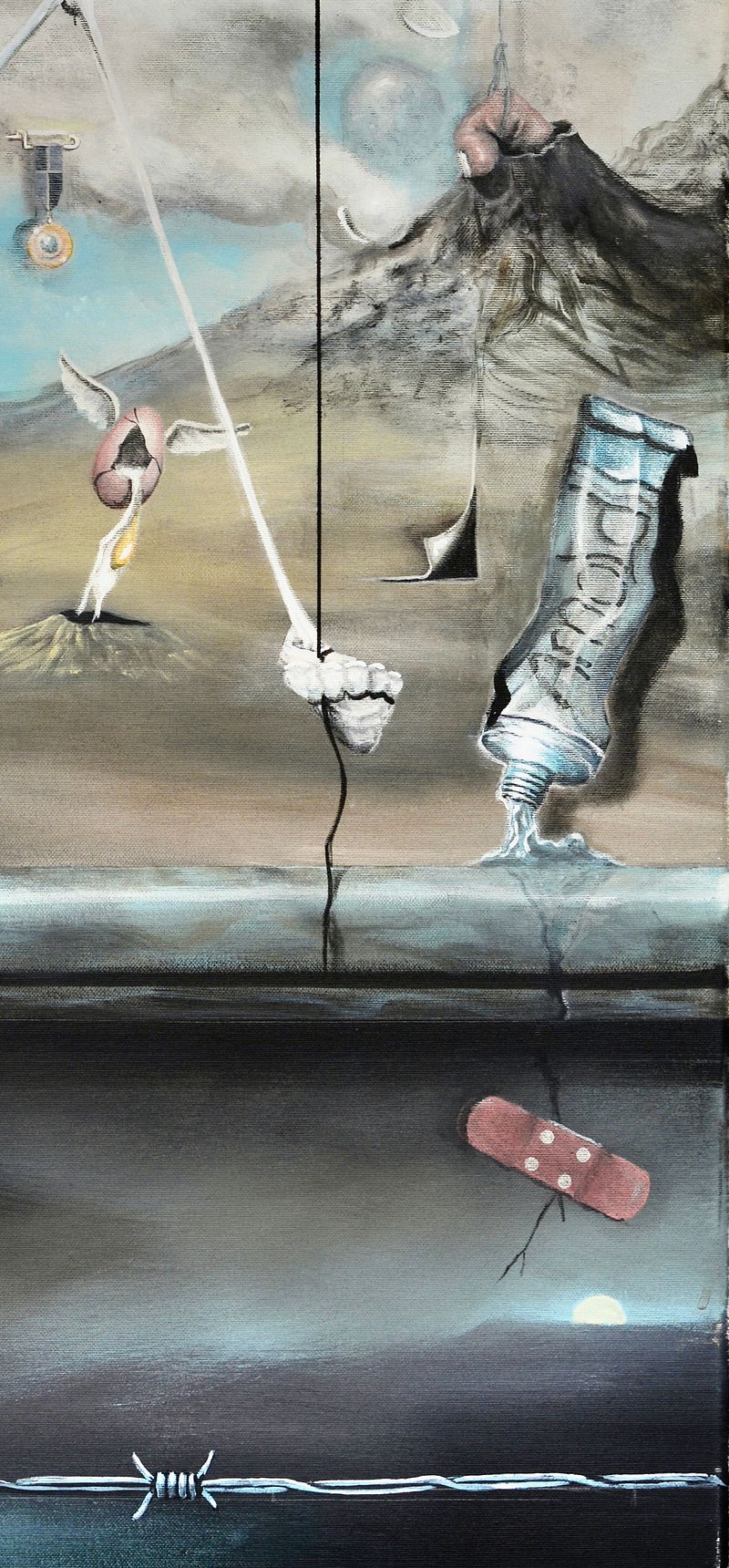 Arnold Janssen - The great step forward