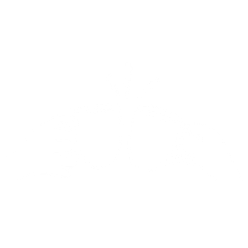 Connecting and Understanding